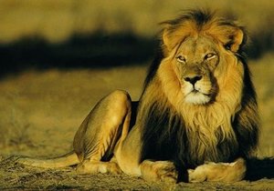 Week 35 of 2013 - Gansbaai News, Specials & Events